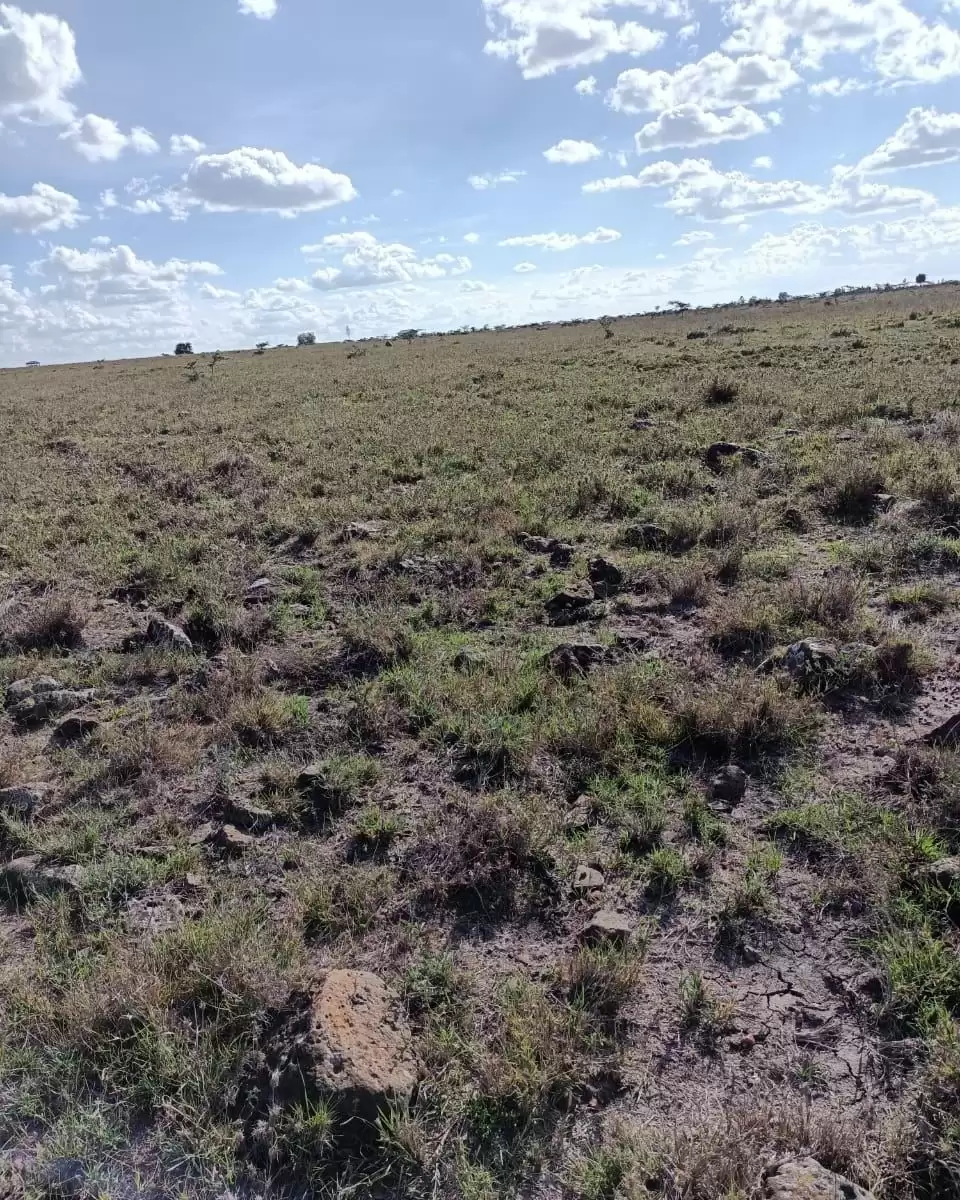 10 acre land for sale in Isinya Enkirigirri Image