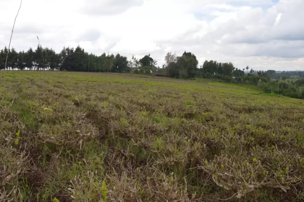 10 acre Land for sale in Limuru along Nairobi Nakuru Highway Image