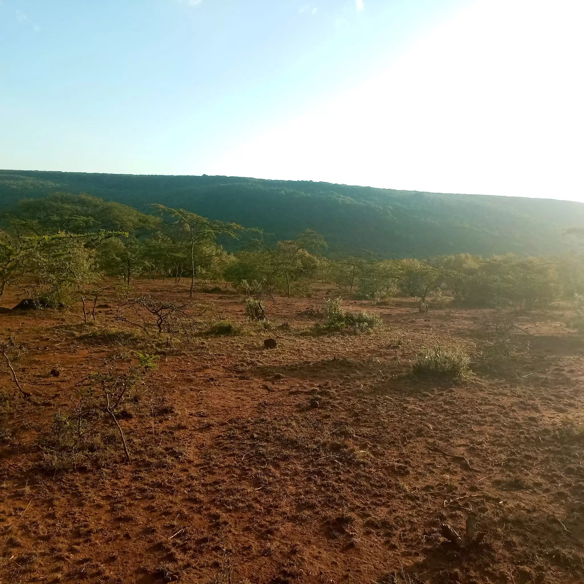 10 acre land for sale in Ngong Image