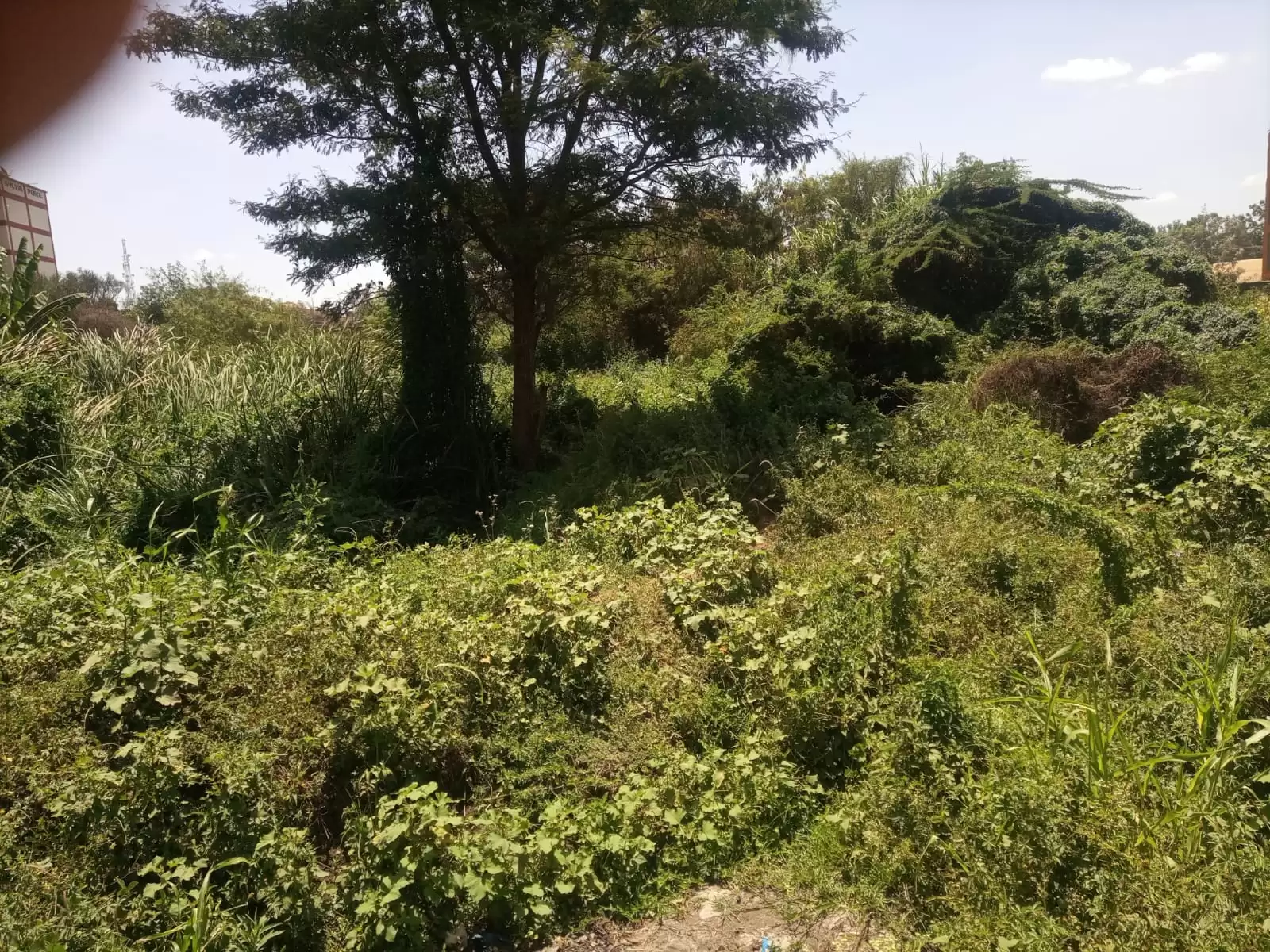 10 Acres of land for sale in Juja Image