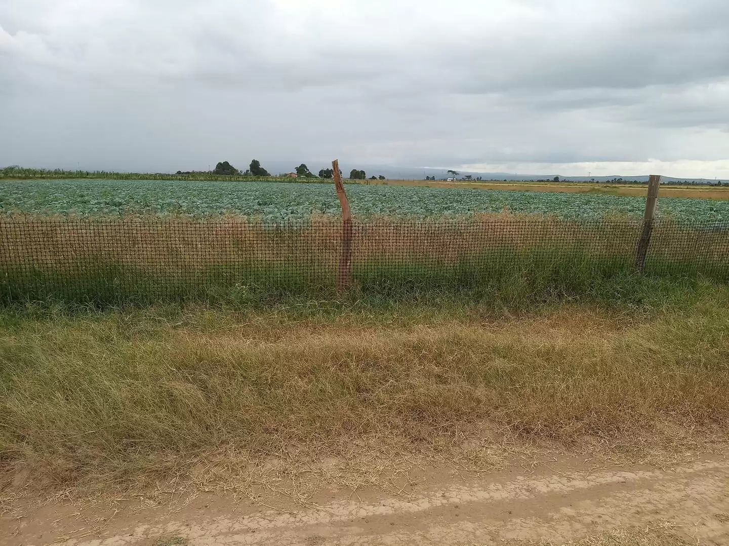 100 acre land for sale in Nyeri Narumoru Image