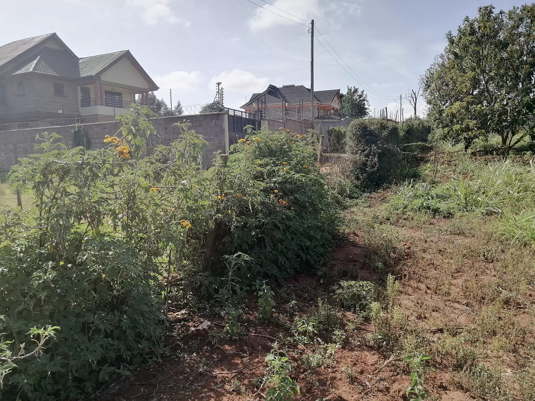 100-by-100-plot-for-sale-in-kikuyu-gikambura-in-kikuyu-kenya-propscout