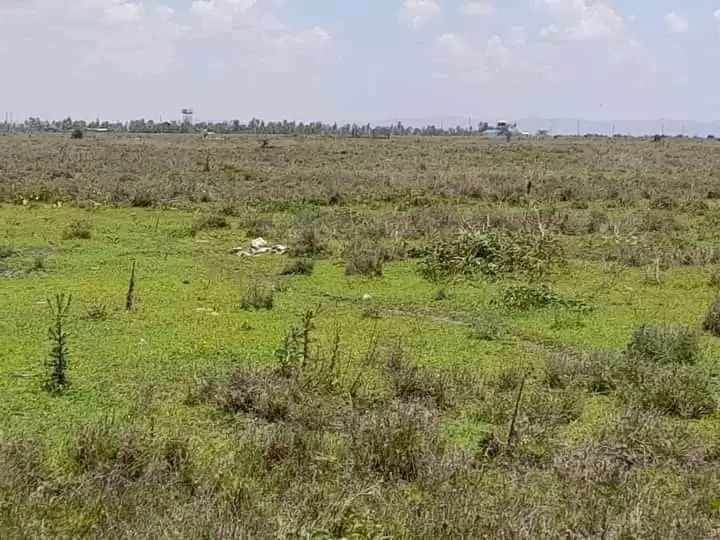 12 acre land for sale in Oloosuyian Image