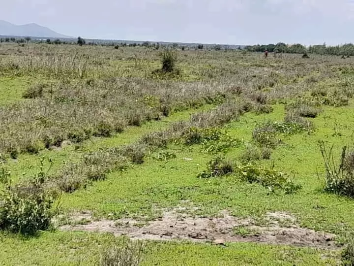 12 acre land for sale in Oloosuyian Image