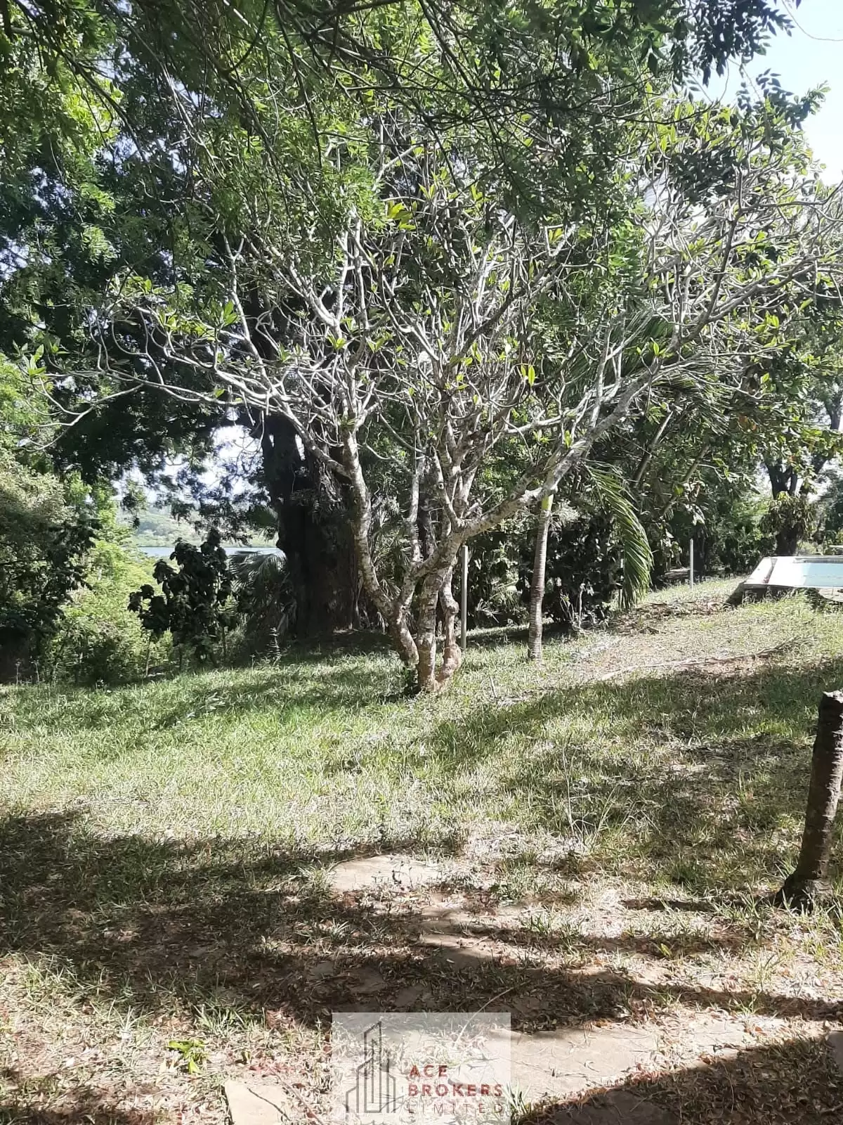 1.2 acre land with house for sale in Mtwapa Image