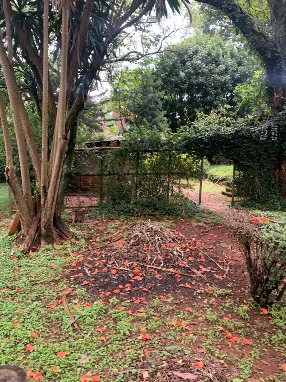 1.2 acres  With 4 Bedrooms  Mansionette With Dsq In Muthaiga Image