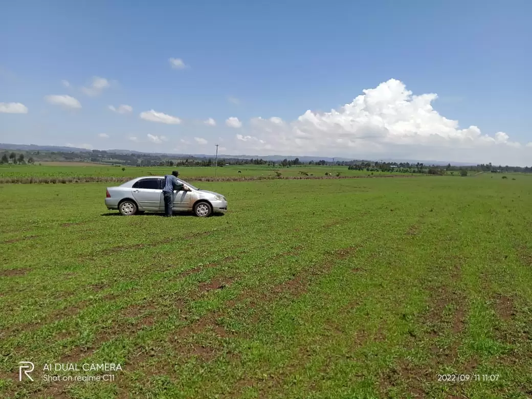 123 acre land for sale in Ol Kalou Nyandarua Kaimbaga Image