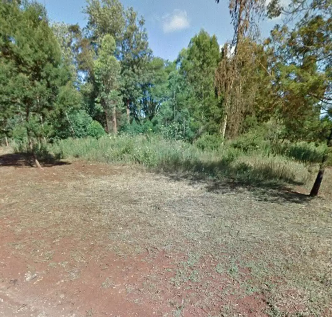 1.25 acre plot for lease in Ridgeways Kiambu road Image