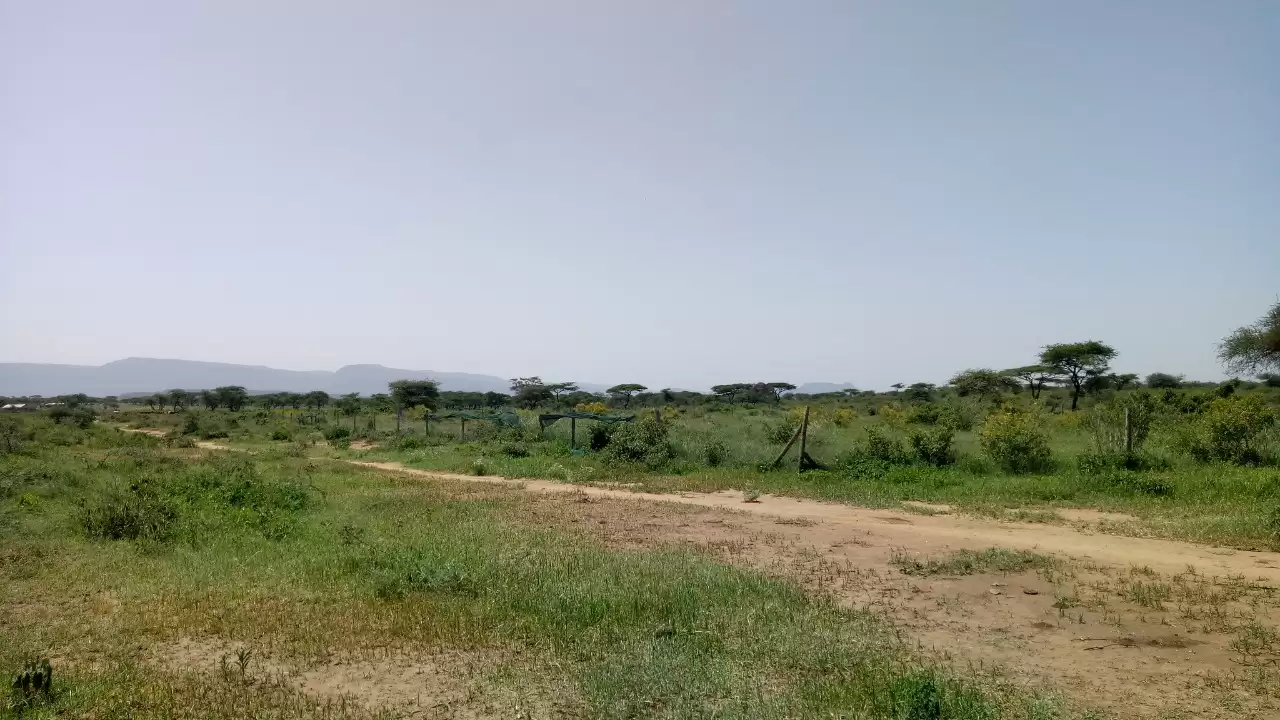 15 acre land for sale in Ewaso Kendong Kajiado County Image