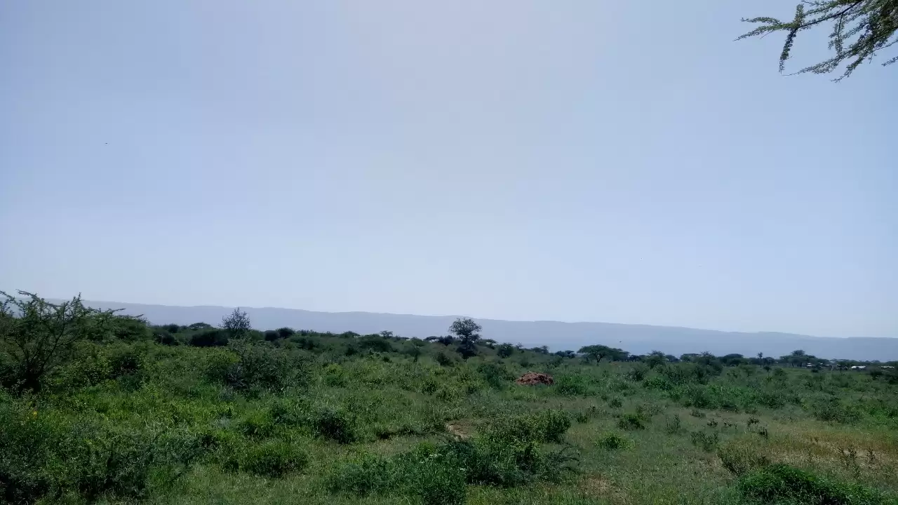 15 acre land for sale in Ewaso Kendong Kajiado County Image