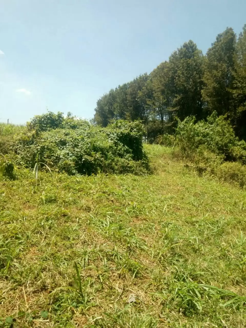 15 acre land for sale in Kikuyu Kamangu Image