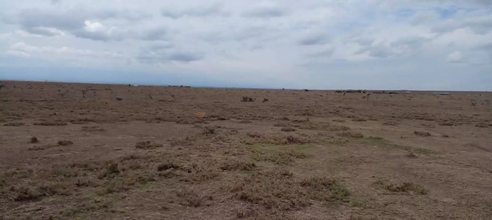 1.5 and 2 acre lands for sale in Nanyuki Image