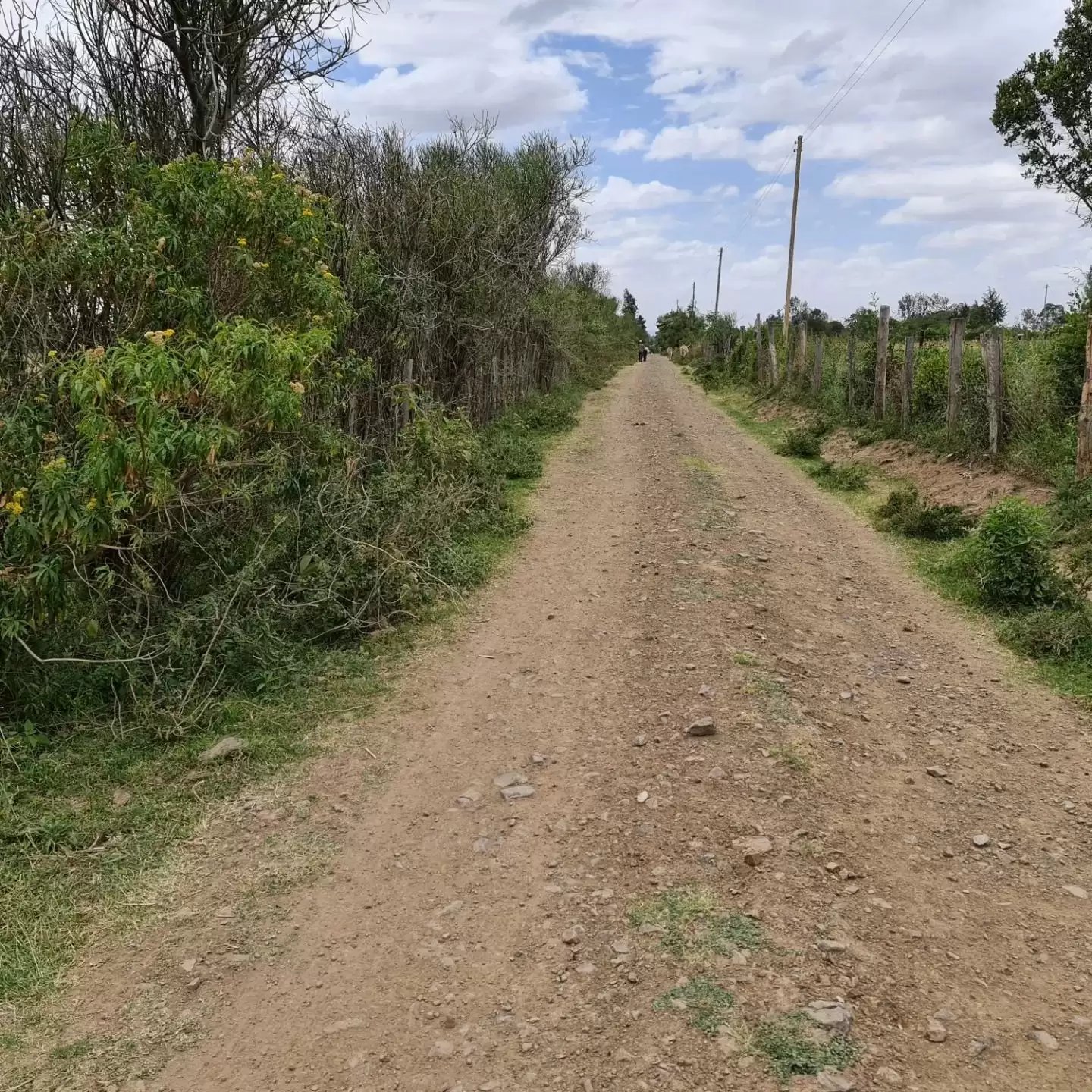 2 acre land for sale in Nanyuki Image