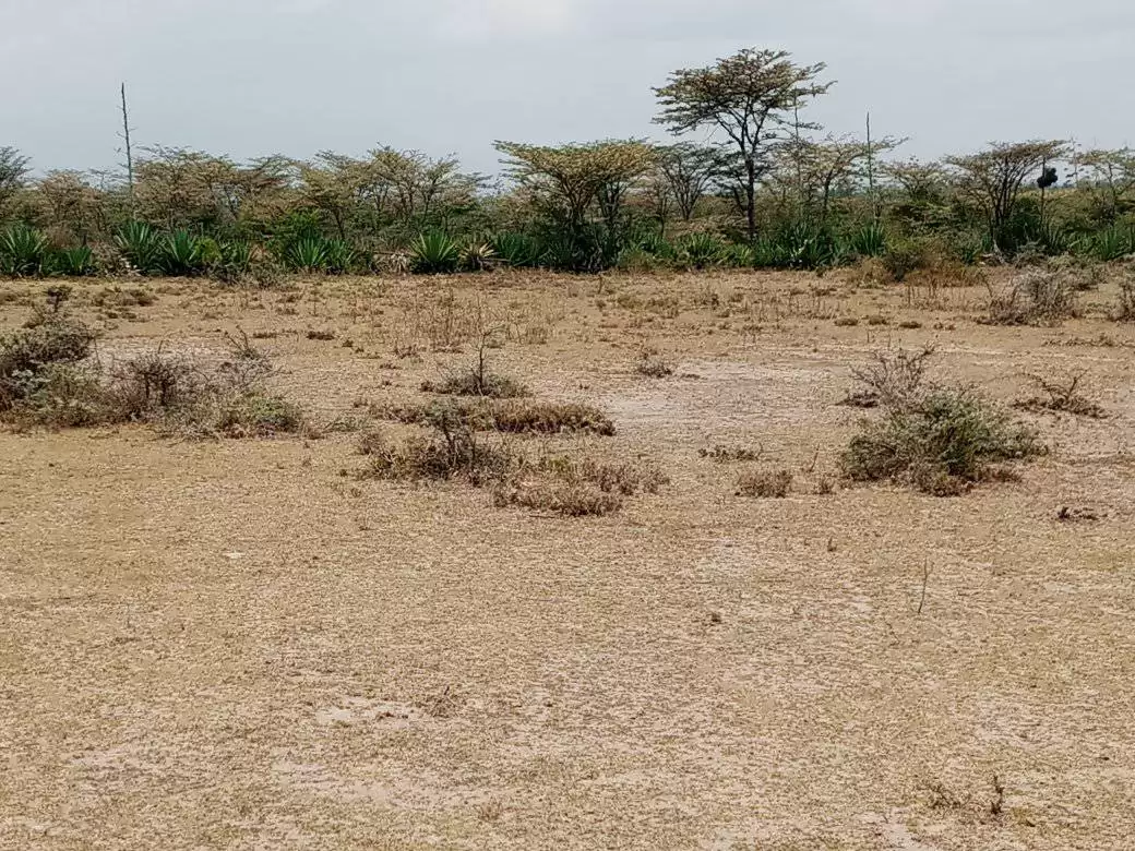 2 acre land for sale in Nanyuki Image