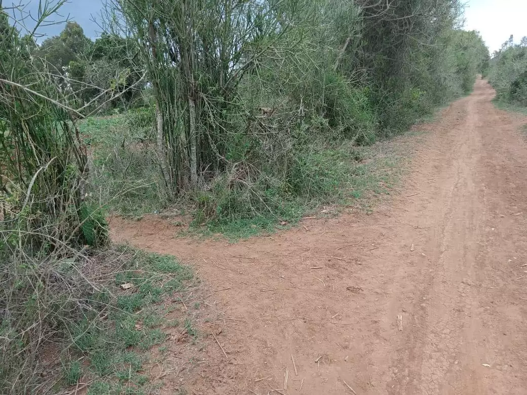 2 acre Land for sale in Nanyuki Burguret area Image