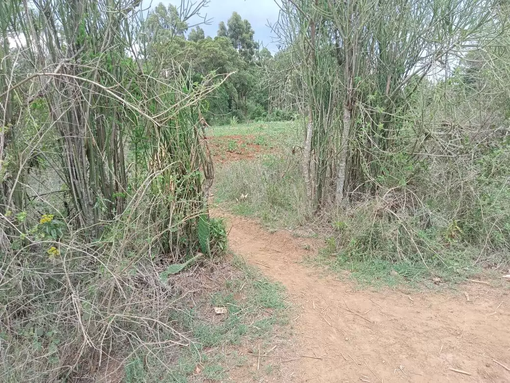 2 acre Land for sale in Nanyuki Burguret area Image