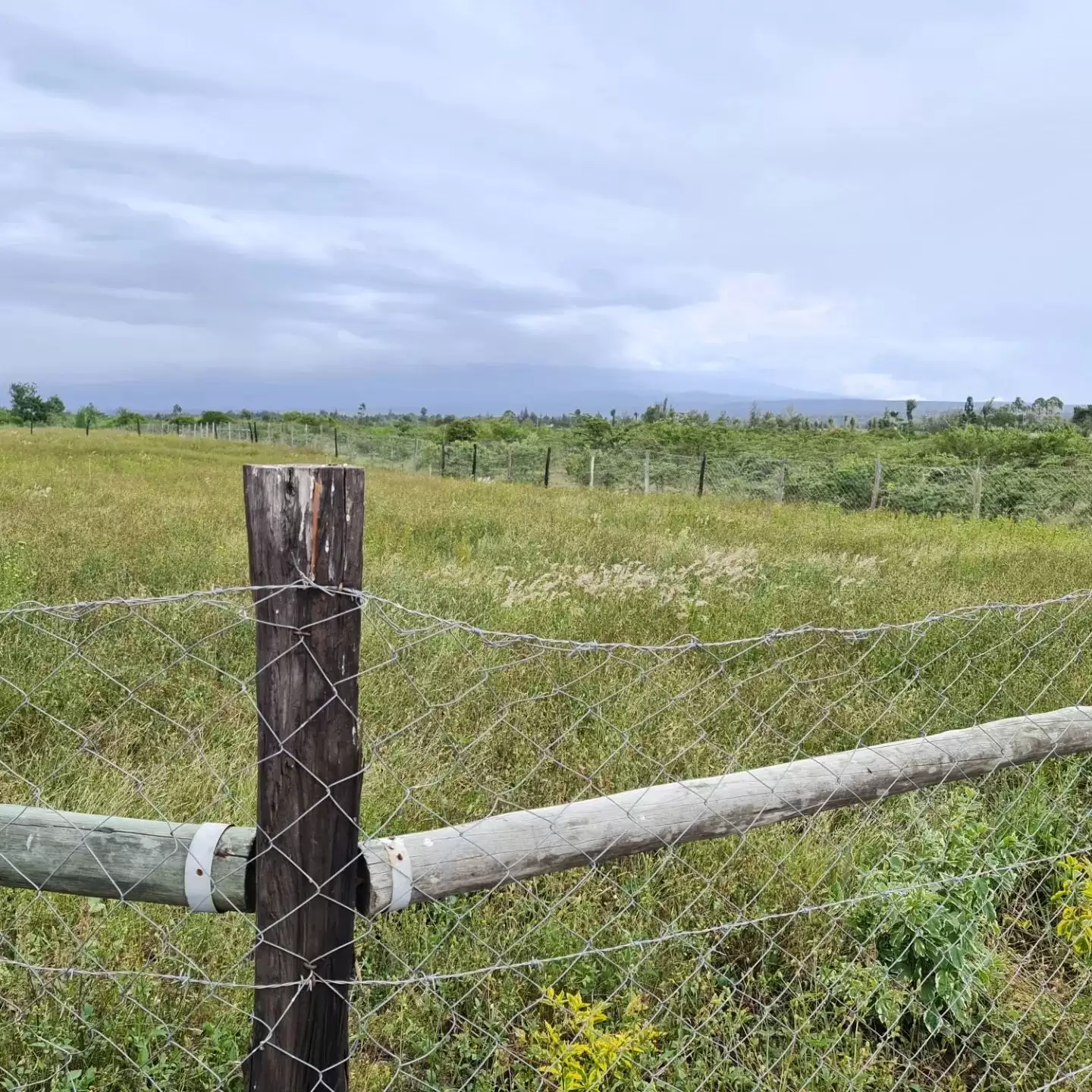 2 acre land for sale in Nanyuki Image