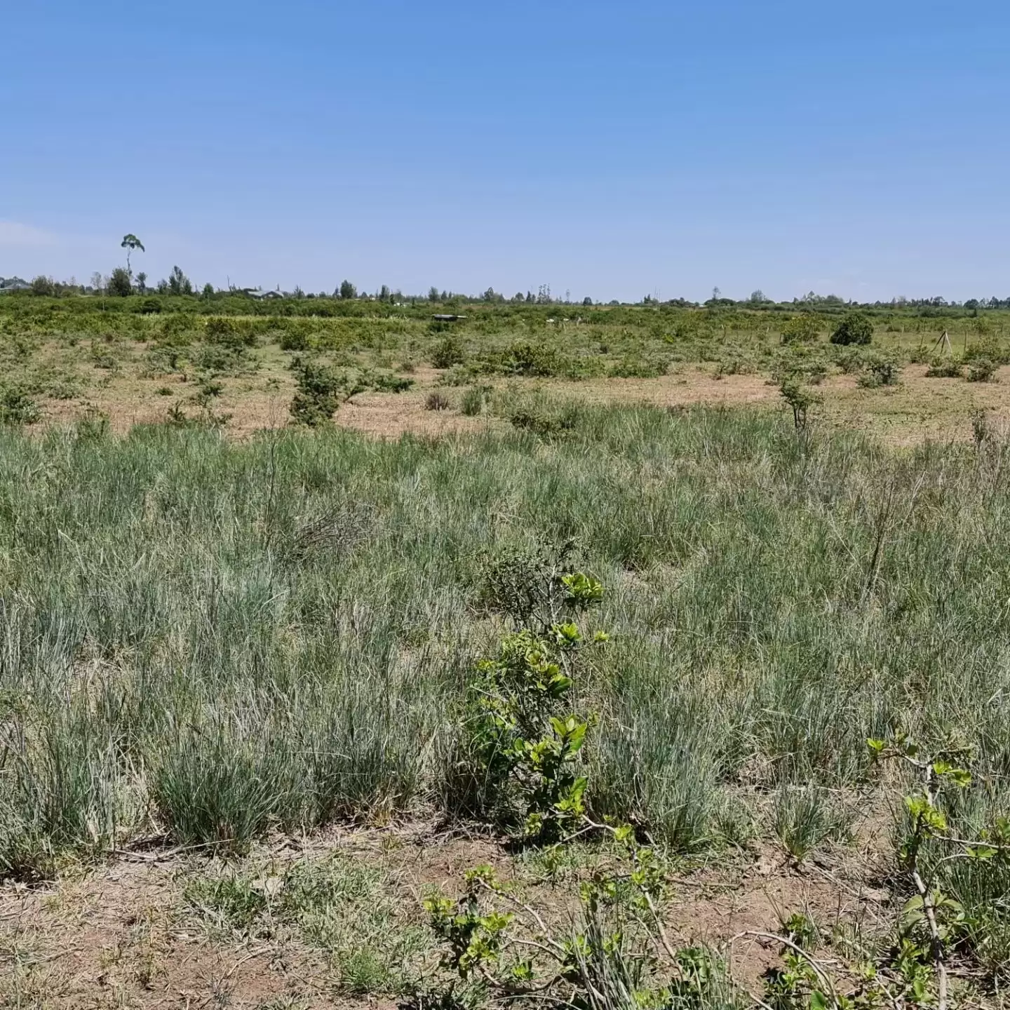 2 acre land for sale in Nanyuki Image