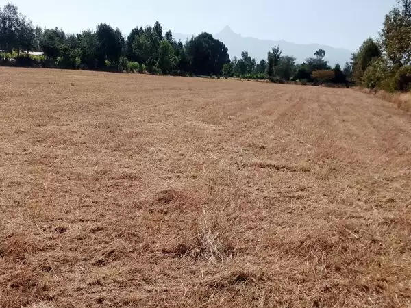 2 acre land for sale in Nanyuki Ragati Image