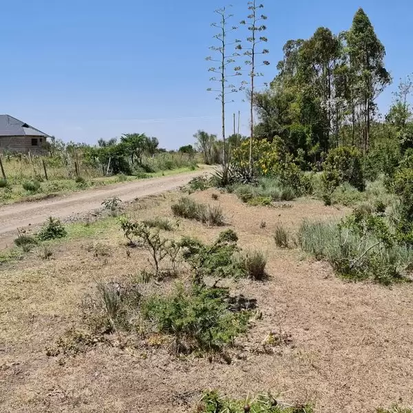 2 acre land for sale in Nanyuki Image