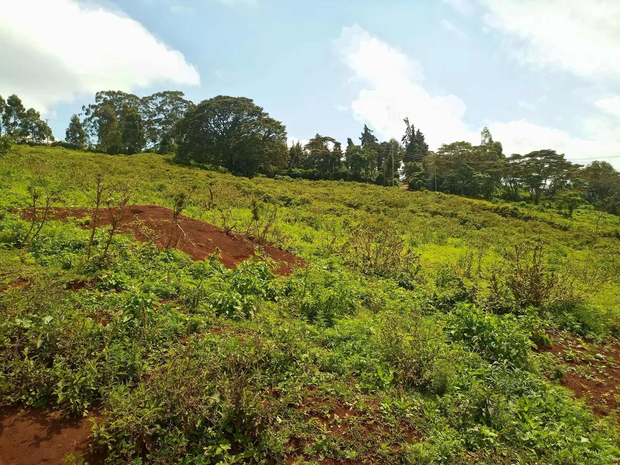 2 acre land for sale in Ngong Kahara Image