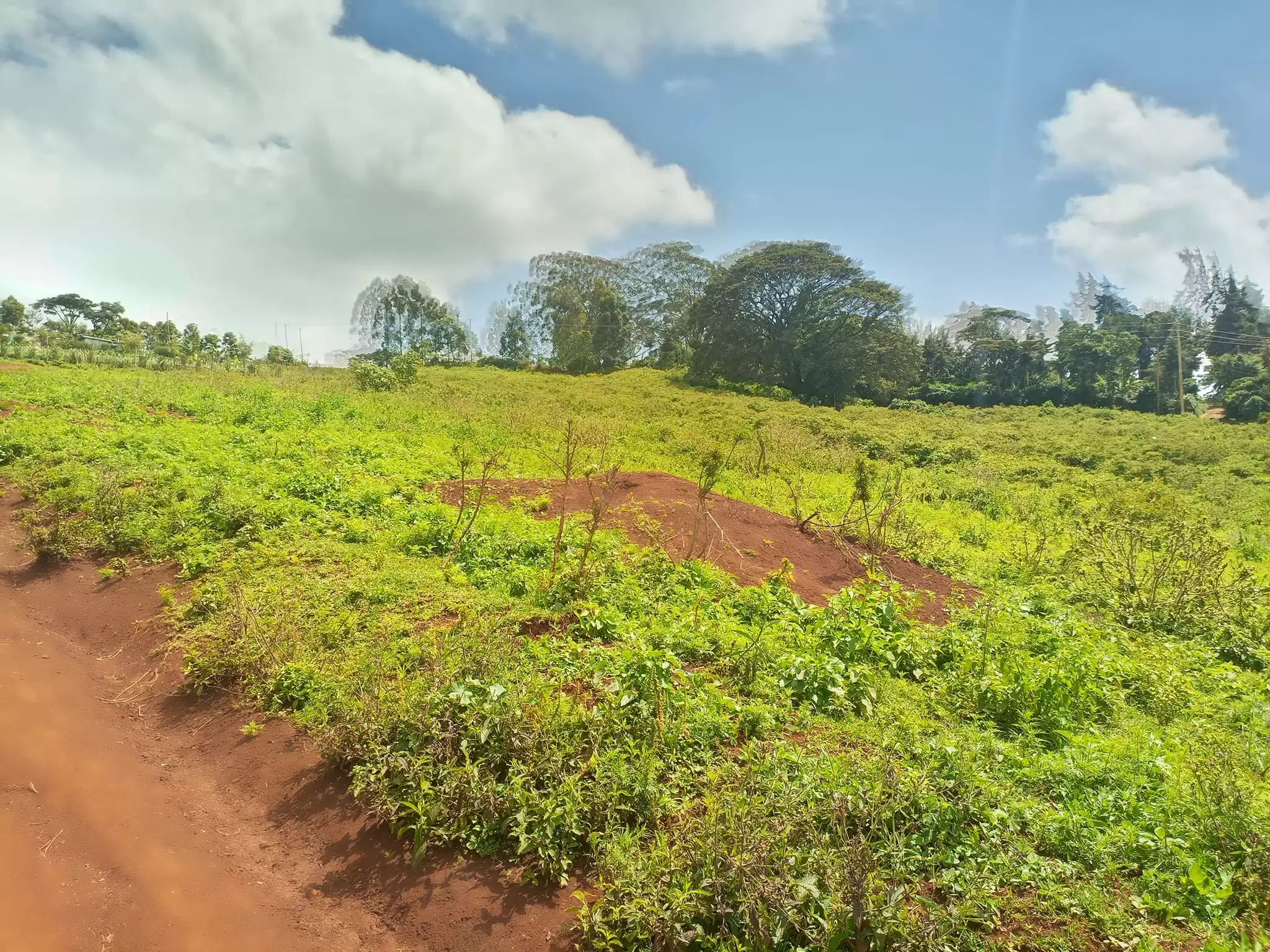 2 acre land for sale in Ngong Kahara in Ngong, Kenya Propscout