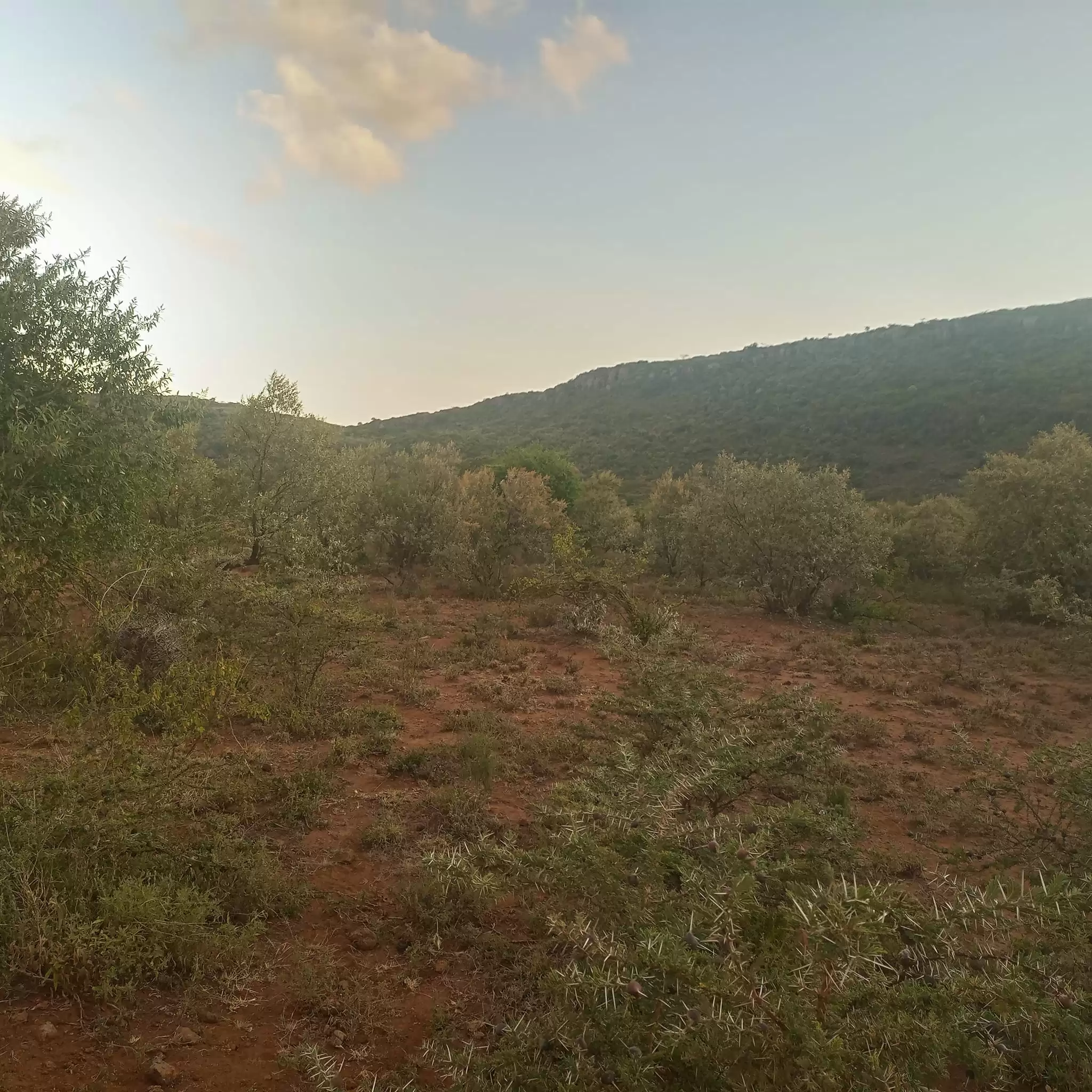 2 acre land for sale in Ngong Kimuka Image