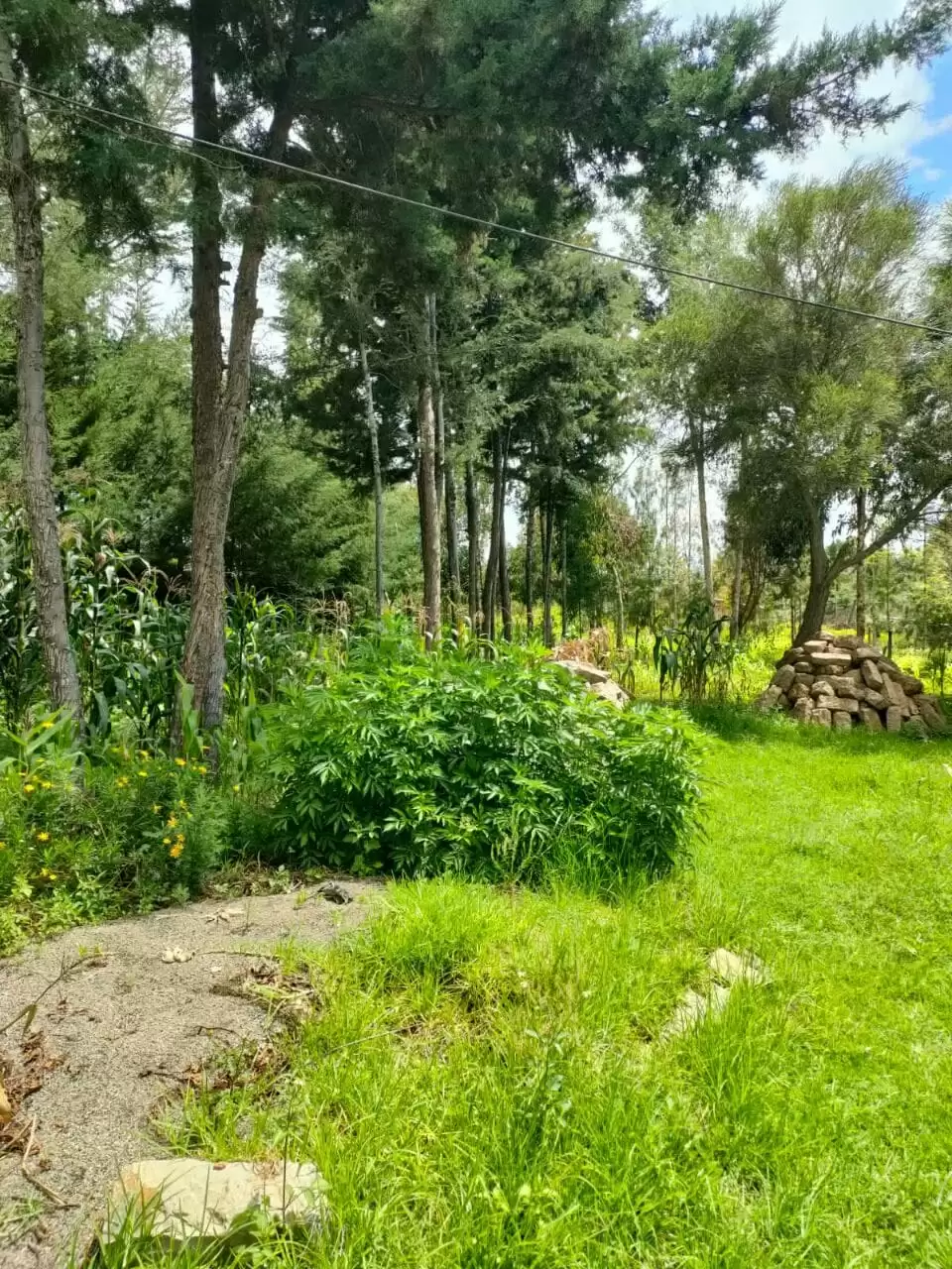 2 acre land for sale in Nyeri Narumoru in Naro Moru, Kenya Propscout
