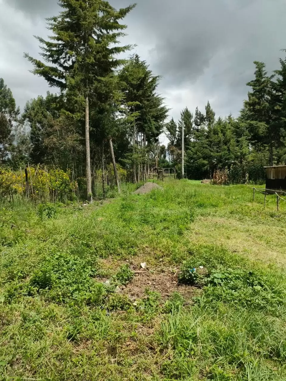 2 acre land for sale in Nyeri Narumoru in Naro Moru, Kenya Propscout