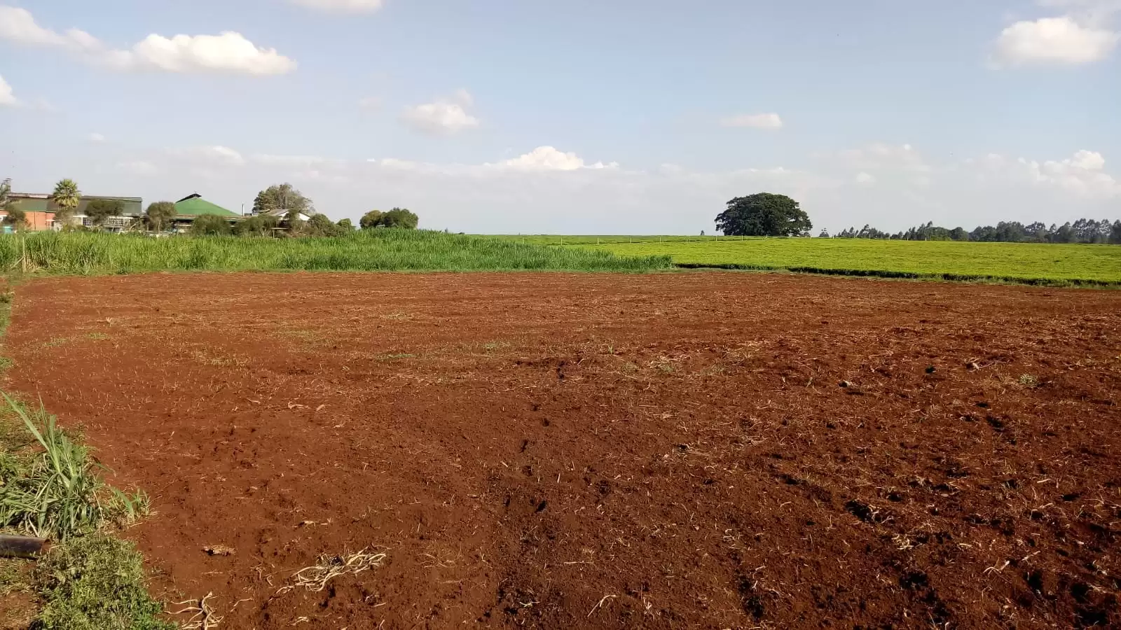 2 acre land for sale near Ngorongoro Tea factory Tigoni Image