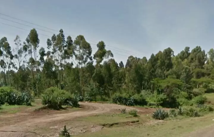 20 acre agricultural land for sale in Ndaragua Imenti area Image