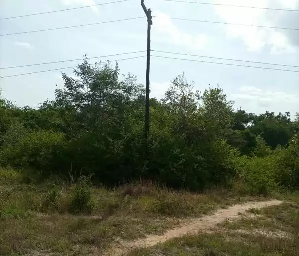 2000 acres in Embu Kiritini for sale in Embu, Kenya Propscout