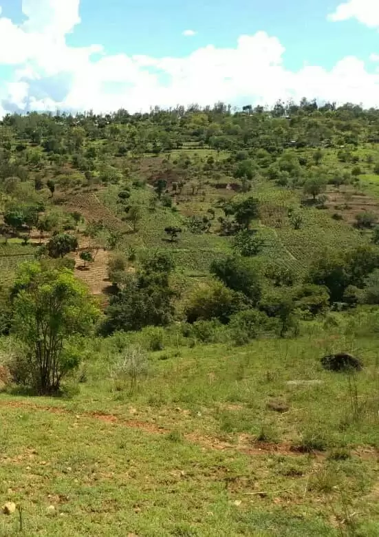 2000 acres in Embu Kiritini for sale Image