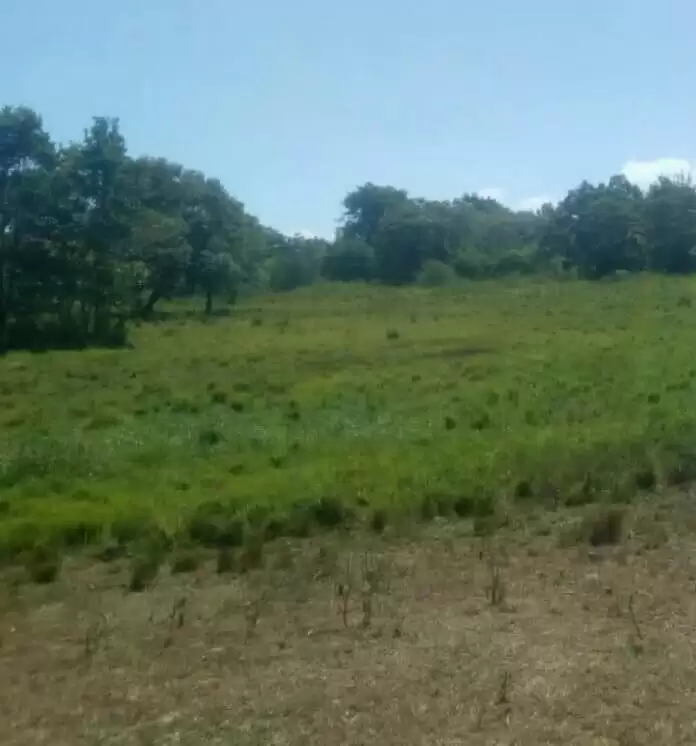 2000 agricultural acre land for lease in Narok Image