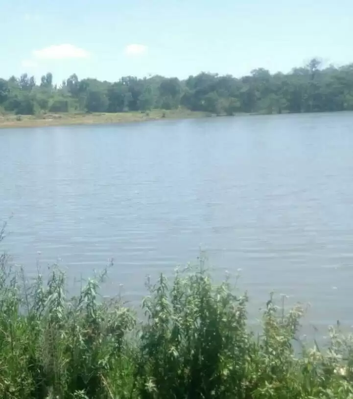 2000 agricultural acre land for lease in Narok Image