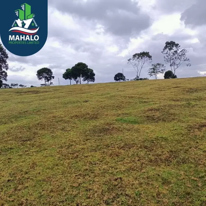 21 acre land for sale along Kiambu road Cianda area Image