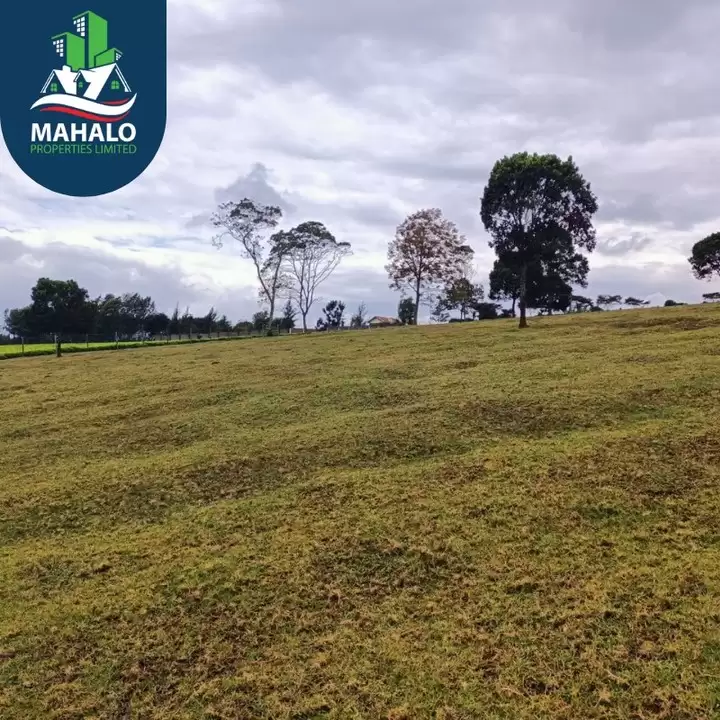 21 acre land for sale along Kiambu road Cianda area Image