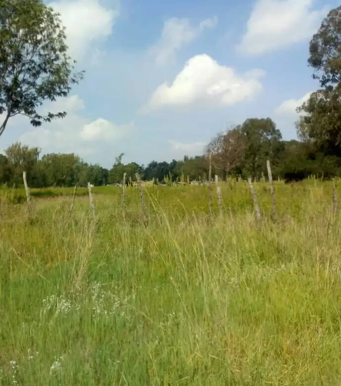 2.5 acre land for lease in Karen Langata road in Langata Road, Nairobi