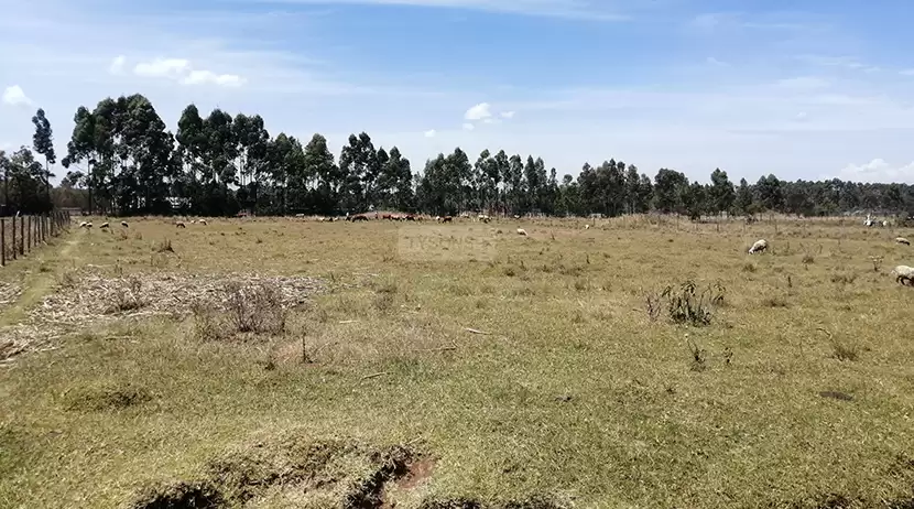 25 acre land for sale in Upper Elgon View Image