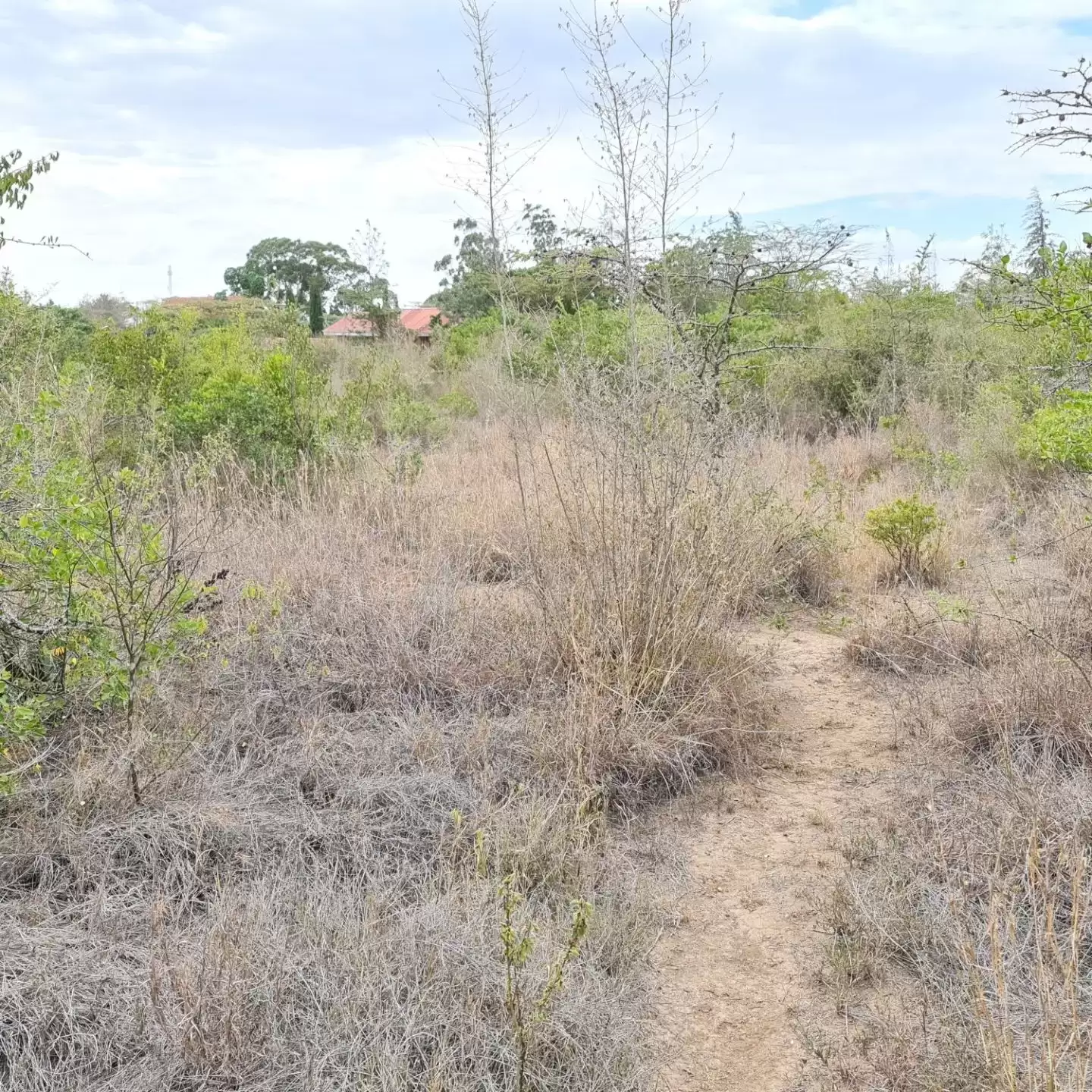 3.5 acre land for sale in Nanyuki Maiyan Image