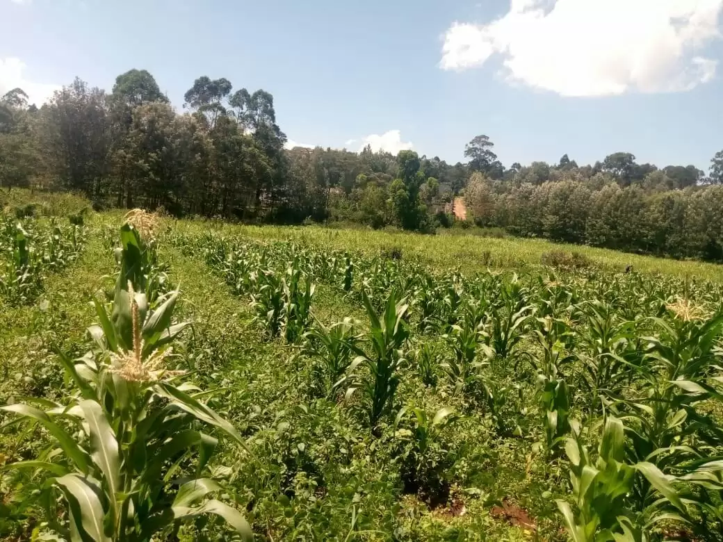 4 acre land for sale in Kerarapon Ngong Hills Image