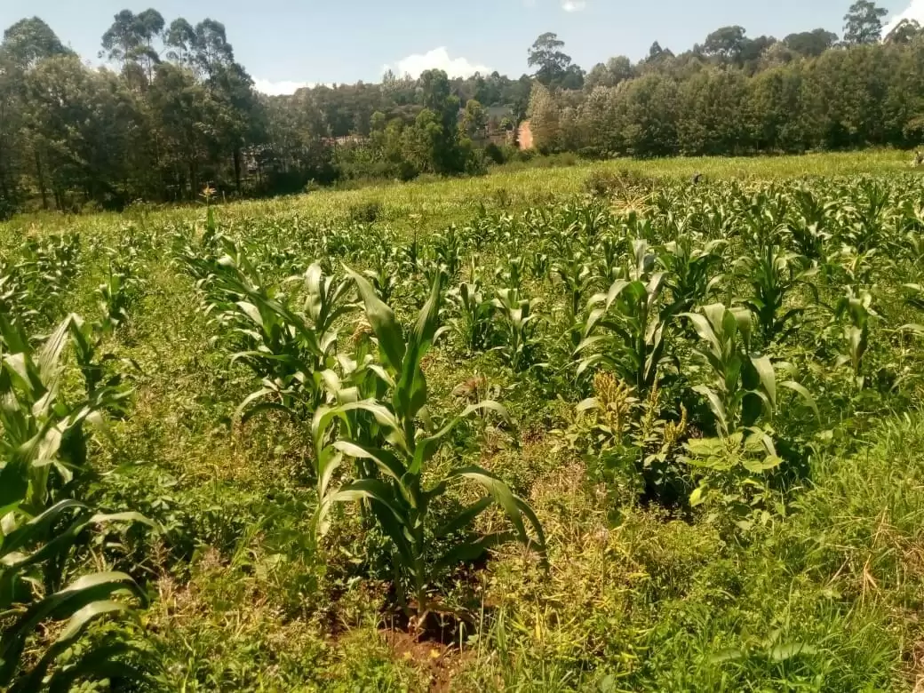 4 acre land for sale in Kerarapon Ngong Hills Image