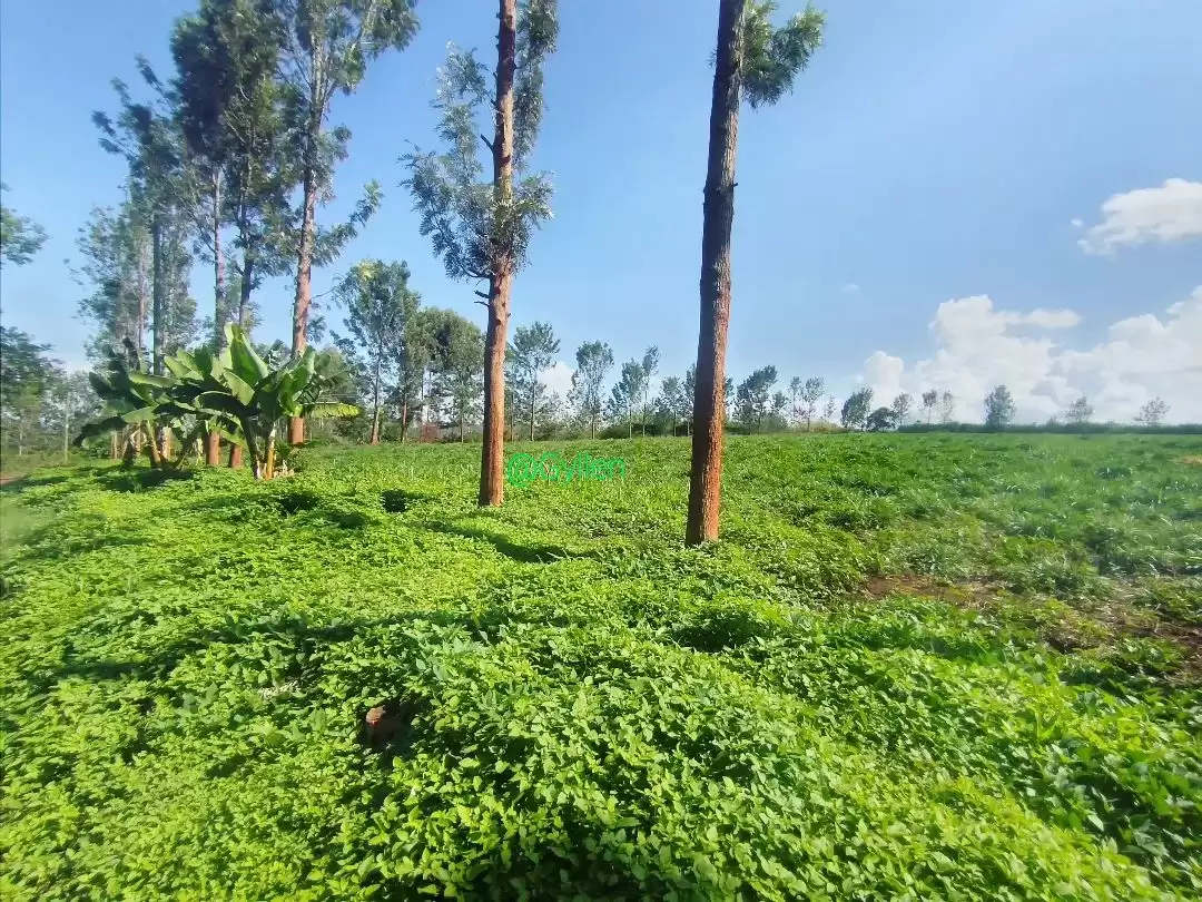 4 acre land for sale in Maragua Muranga County Image