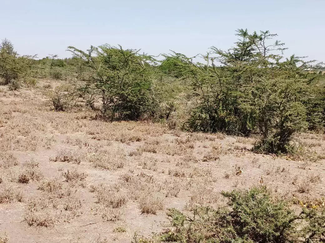 4 acre land for sale in Nanyuki Burguret Image