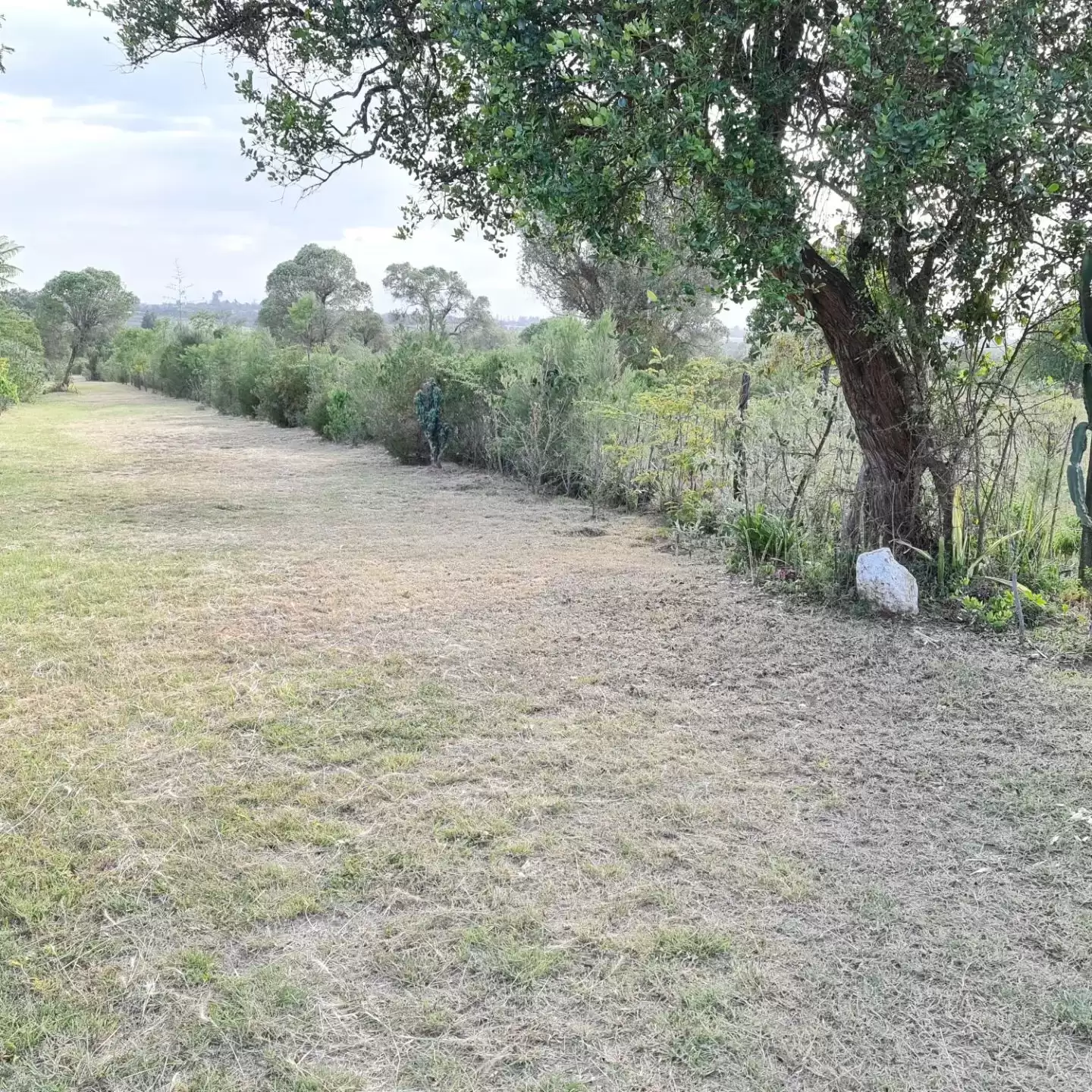 4 acre land for sale in Nanyuki Burguret Image