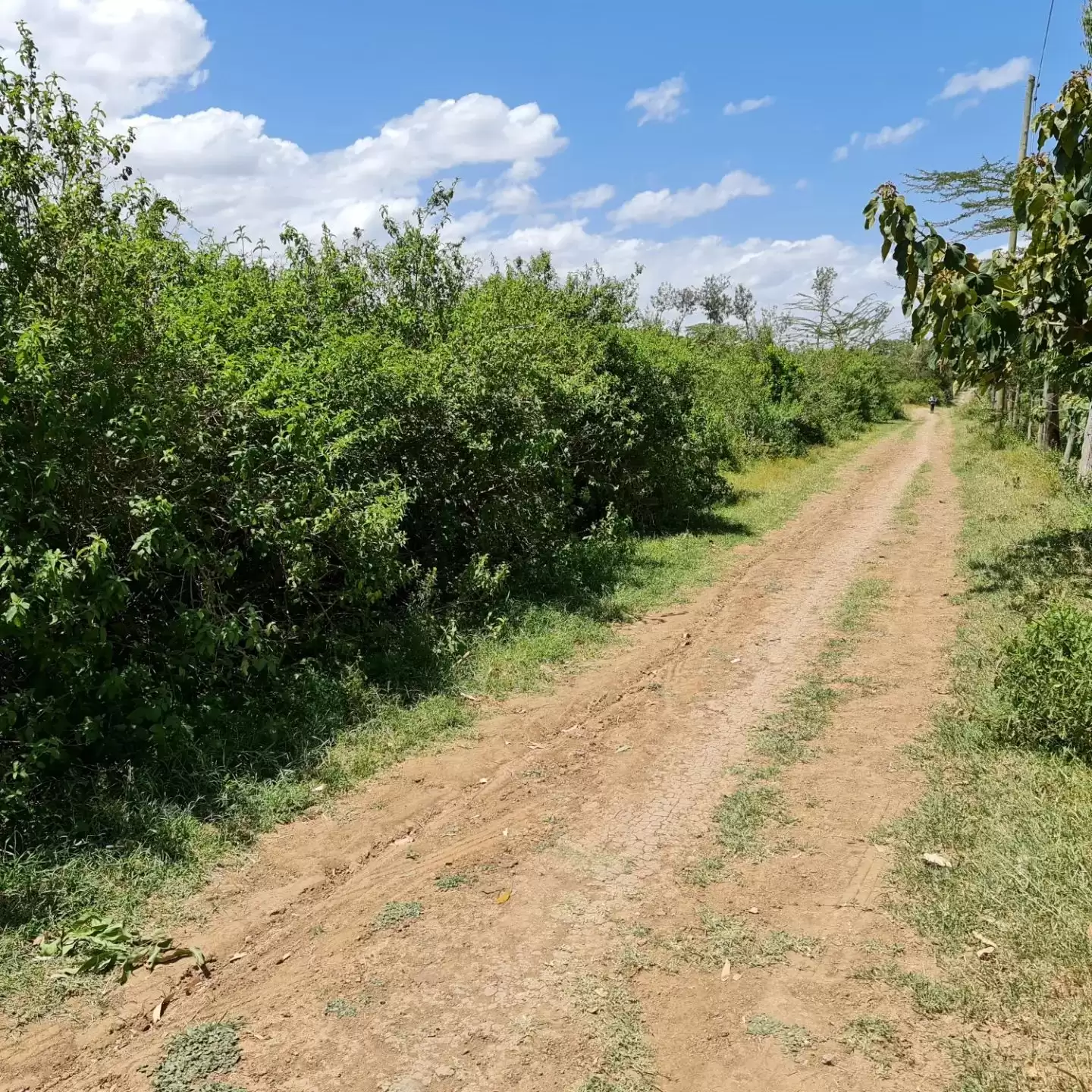 4 acre land for sale in Nanyuki Burguret Image