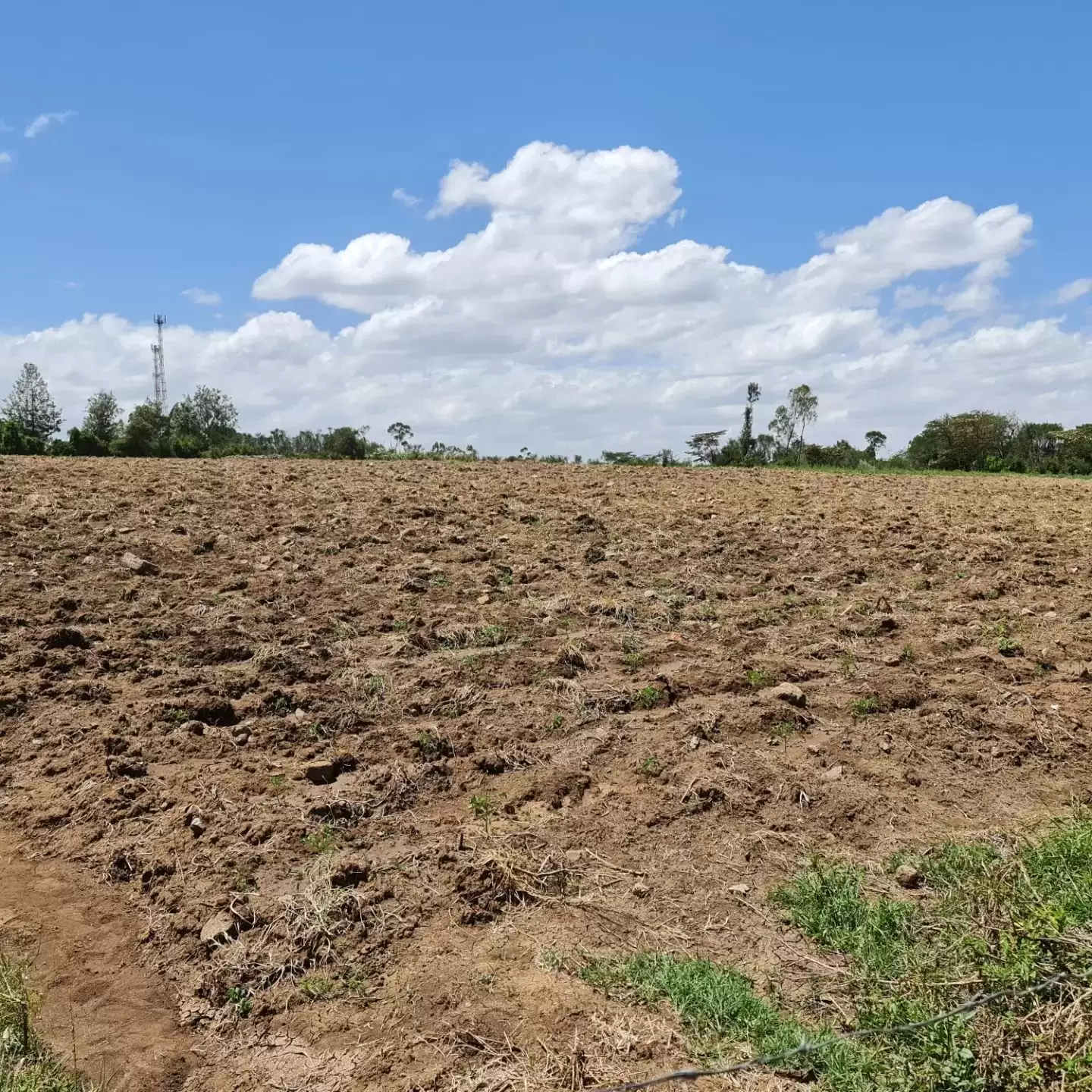 4 acre land for sale in Nanyuki Burguret Image