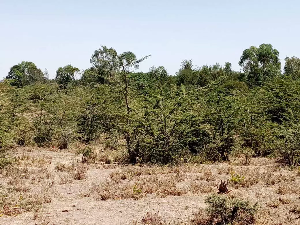 4 acre land for sale in Nanyuki Burguret Image