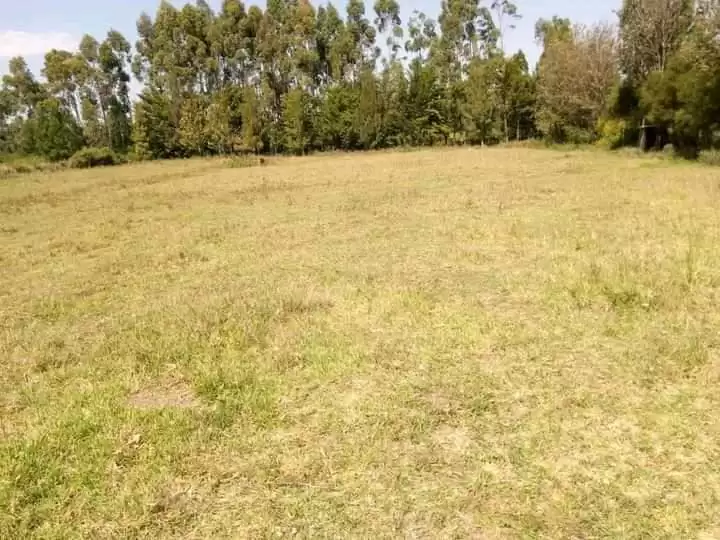 4 acre land for sale in Nanyuki Katheri Image