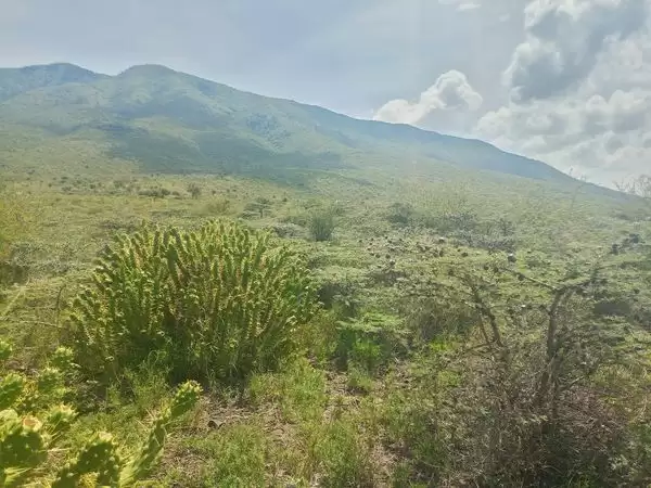 4 acre land for sale in Ngong Kimuka Image